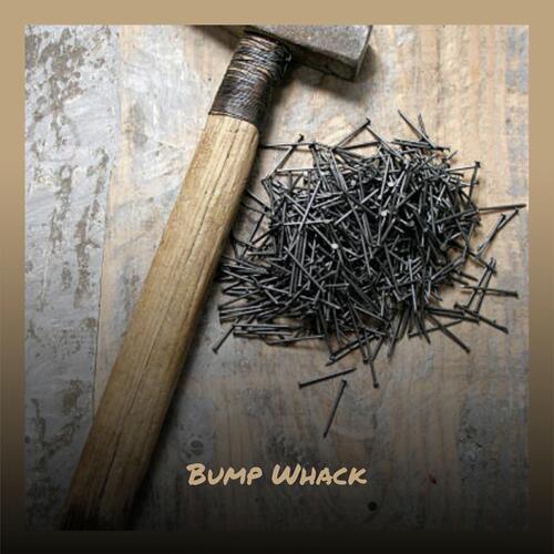 Bikes Dapple cover art