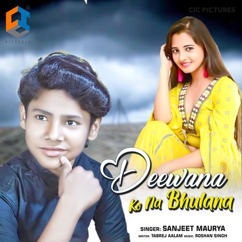 Deewana Ko Na Bhulana_poster_image