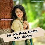 Dil Ka Pull Harya Jak Hogya (Original)
