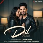 Dil Unplugged