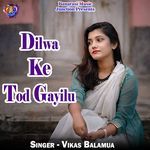 Dilwa Ke Tod Gayilu