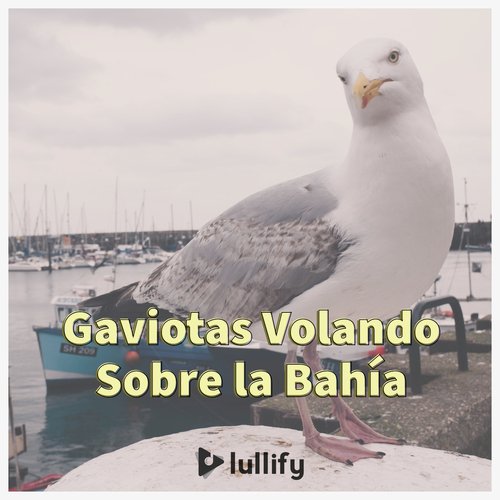 Bajo cielo nublado cover art