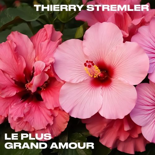 Le Plus Grand Amour (2025 Mix) cover art