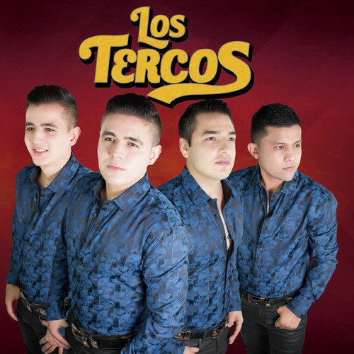 Los Tercos