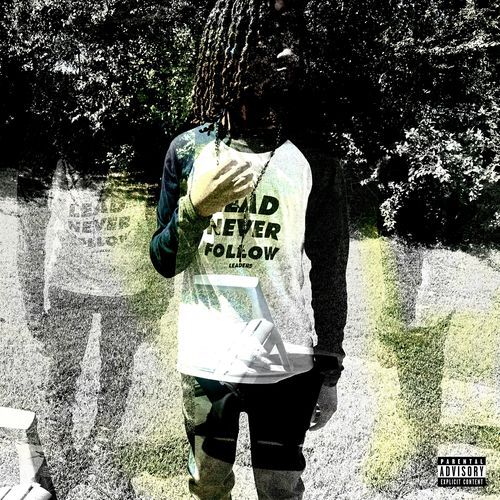 Like Me cover art