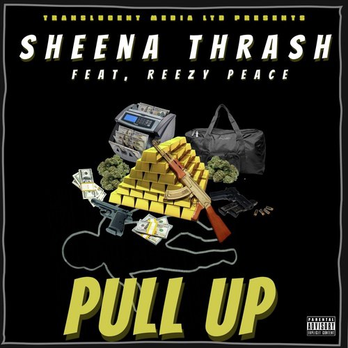 Pull Up (feat. Reezy Peace & Hashbeatz) cover art