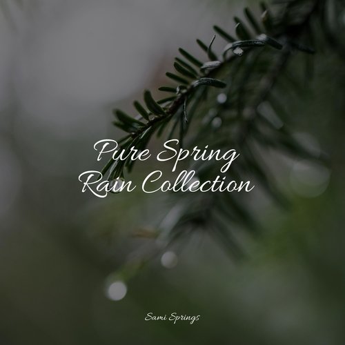 Pure Spring Rain Collection