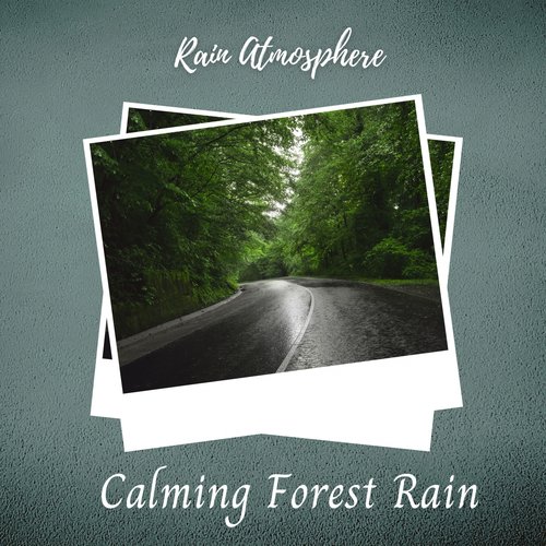 Rain Atmosphere: Calming Forest Rain_poster_image