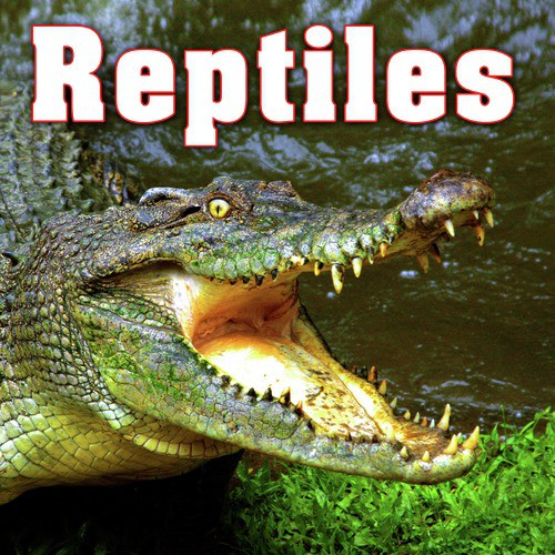 Crocodile Hisses & Grunts
