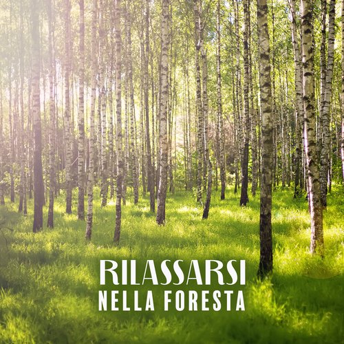 Rilassarsi Nella Foresta: Suoni Calmanti Della Natura e Degli Uccelli_poster_image