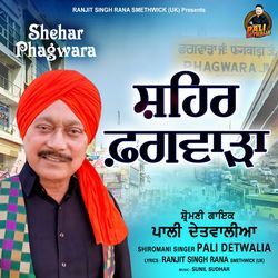 Shehar Phagwara-Nho8CUAGREY