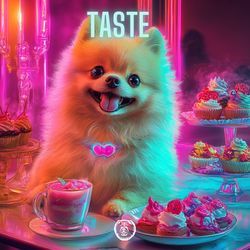 Taste (Techno Version)-PVwdCDJiD3I