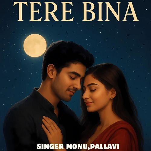 Tere Bina
