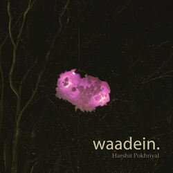 Waadein-SAJfAkJ5QEY