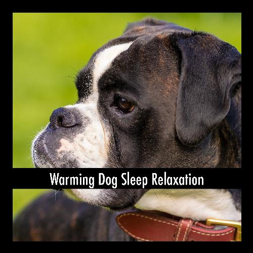 Reassuring Doggy Soothing Stress Buster cover art