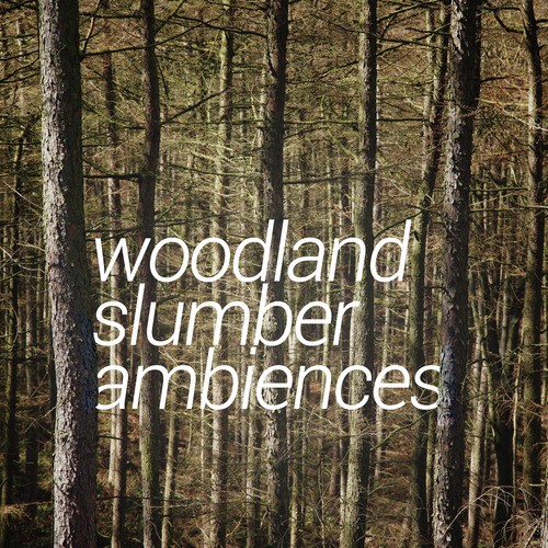 Woodland Slumber Ambiences