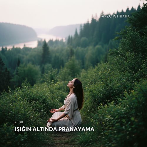 Çabasız Genişle cover art