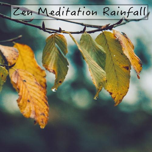 Rain Makers cover art