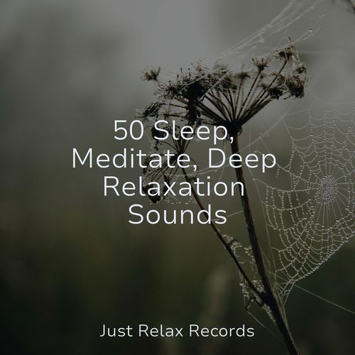 50 Sleep, Meditate, Deep Relaxation Sounds_poster_image