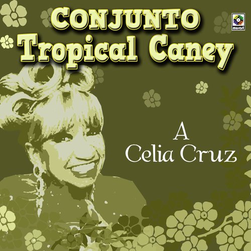 Nicolás cover art