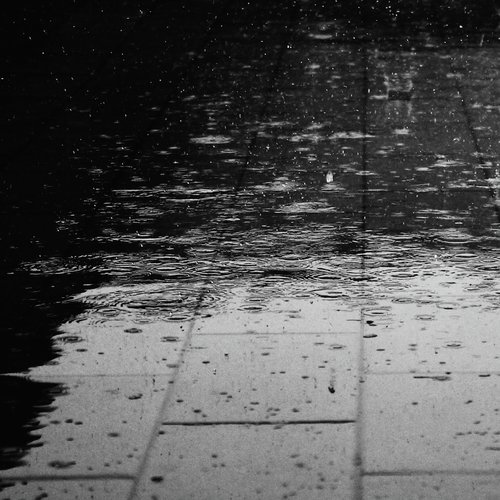 In Search of Rain cover art