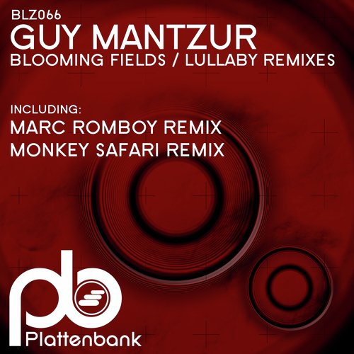 Blooming Fields / Lullaby Remixes