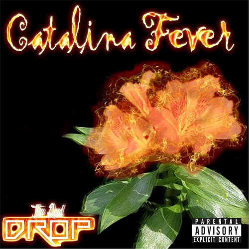 Catalina Fever