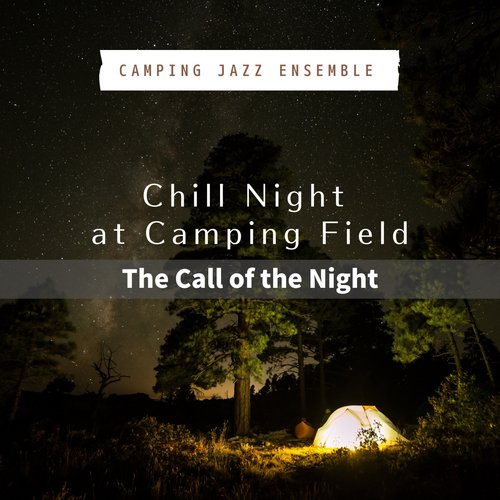 Night at the Cineplex cover art