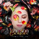 Crimson Canvas