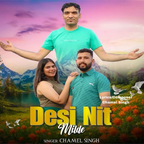 Desi Nit Milde