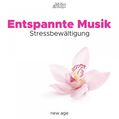 Entspannte Musik: Stressbewältigung_poster_image