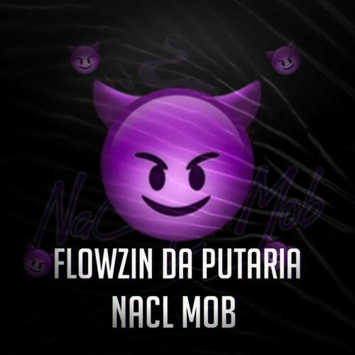 FLOWZIN DA PUTARIA cover art