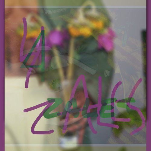 For Zales cover art