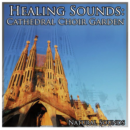 Healing Sounds: Cathedral Choir Garden