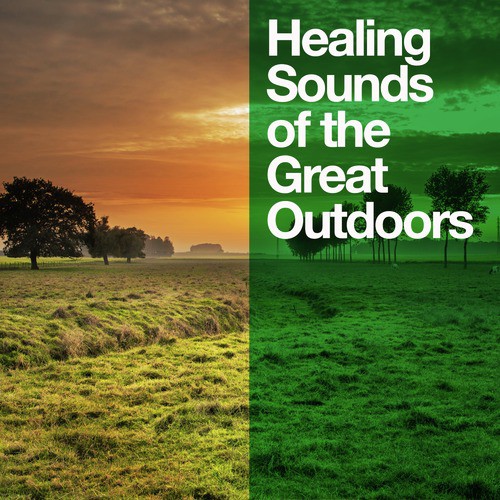 Healing Sounds of the Great Outdoors