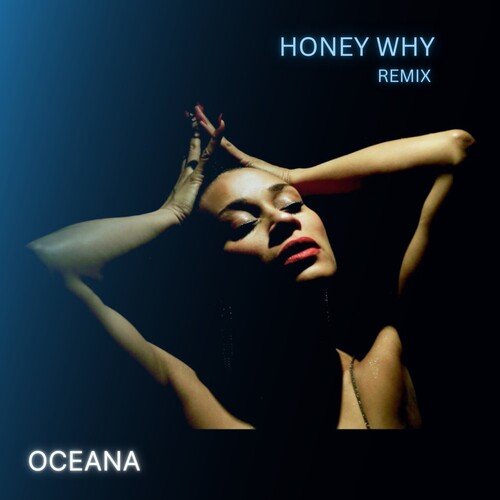 Honey Why (Melis Treat Remix) cover art