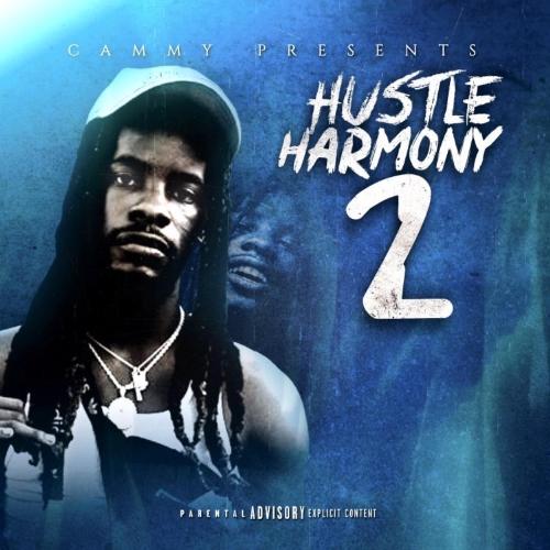 Hustle Harmony 2_poster_image