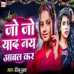 Jo Jo Yaad Nay Aabal Kar