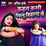 Kawan Kami Pawalu Diwana Me (Bhojpuri)