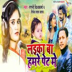 Laika Ba Hamre Pet Me