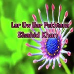 Lar Ow Bar Pukhtana