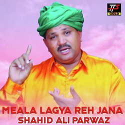 Mela Lagya Reh Jana-BDAnSR96T2c