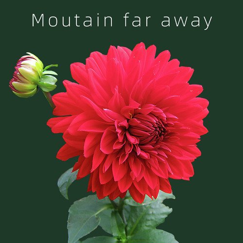 Moutain far away