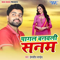 Pagal Banwali Sanam