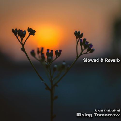 Rising Tomorrow (Slowed & Reverb)
