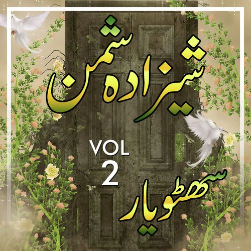 Shahzadoo Shaman - Sohto Yar, Vol. 2