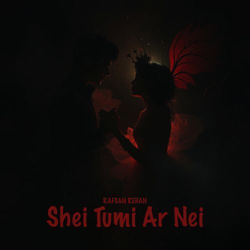 Shei Tumi Ar Nei