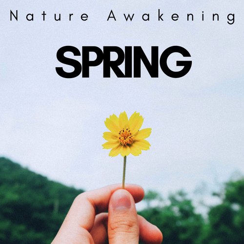Spring: Nature Awakening, Calm Down Now with the Purest and Deepest Relaxation Music, Spitirual Connection