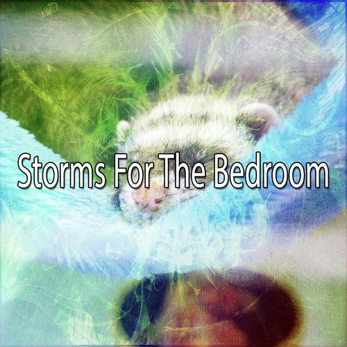 Rain On Concrete Song Download Storms For The Bedroom Song