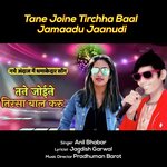 Tane Joine Tirchha Baal Jamaadu Jaanudi